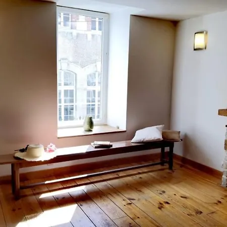 Le Loft Apartment Bar-sur-Aube
